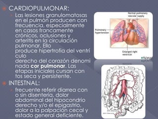  CARDIOPULMONAR:
› Las lesiones granulomatosas
en el pulmón producen con
frecuencia, especialmente
en casos francamente
crónicos, oclusiones y
arteritIs en la circulación
pulmonar. Ello
produce hipertrofia del ventrí
culo
derecho del corazón denomi
nada cor pulmonar. Las
etapas iniciales cursan con
tos seca y persistente.
 INTESTNAL:
› frecuente referir diarrea con
o sin disentería, dolor
abdominal del hipocondrio
derecho y/o el epigastrio,
dolor a la palpación cecal y
estado general deficiente.
 