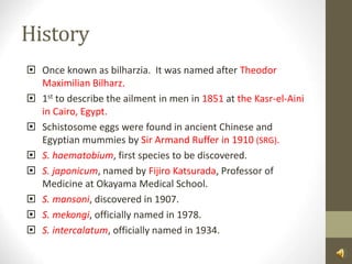 History
 Once known as bilharzia. It was named after Theodor
Maximilian Bilharz.
 1st to describe the ailment in men in 1851 at the Kasr-el-Aini
in Cairo, Egypt.
 Schistosome eggs were found in ancient Chinese and
Egyptian mummies by Sir Armand Ruffer in 1910 (SRG).
 S. haematobium, first species to be discovered.
 S. japonicum, named by Fijiro Katsurada, Professor of
Medicine at Okayama Medical School.
 S. mansoni, discovered in 1907.
 S. mekongi, officially named in 1978.
 S. intercalatum, officially named in 1934.
 
