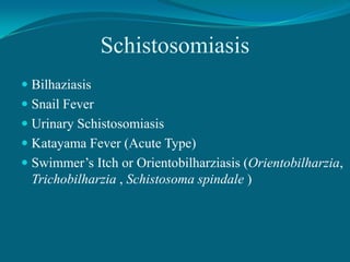 Schistosomiasis
 Bilhaziasis
 Snail Fever
 Urinary Schistosomiasis
 Katayama Fever (Acute Type)
 Swimmer’s Itch or Orientobilharziasis (Orientobilharzia,
Trichobilharzia , Schistosoma spindale )

 