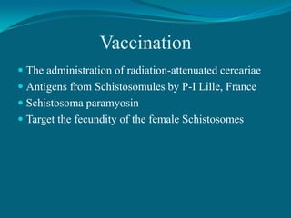 Vaccination
 The administration of radiation-attenuated cercariae
 Antigens from Schistosomules by P-I Lille, France
 Schistosoma paramyosin
 Target the fecundity of the female Schistosomes

 