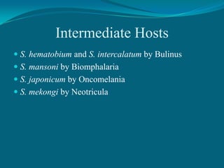 Intermediate Hosts
 S. hematobium and S. intercalatum by Bulinus
 S. mansoni by Biomphalaria
 S. japonicum by Oncomelania
 S. mekongi by Neotricula

 