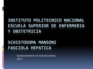 INSTITUTO POLITECNICO NACIONAL
ESCUELA SUPERIOR DE ENFERMERIA
Y OBSTETRICIA

SCHISTOSOMA MANSONI
FASCIOLA HEPATICA
   RAMOS RAMOS VICTOR EDUARDO
   2EV2
 