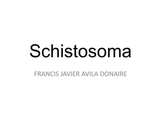 Schistosoma
FRANCIS JAVIER AVILA DONAIRE
 