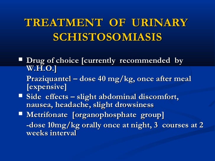 Is There A Vaccine For Malaria >> Schistosomiasis Is There A Vaccine For Malaria >> Schistosomiasis