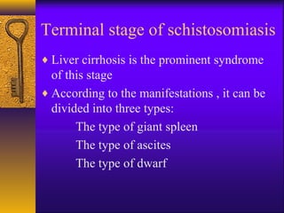Terminal stage of schistosomiasis
♦ Liver cirrhosis is the prominent syndrome
of this stage
♦ According to the manifestations , it can be
divided into three types:
The type of giant spleen
The type of ascites
The type of dwarf
 