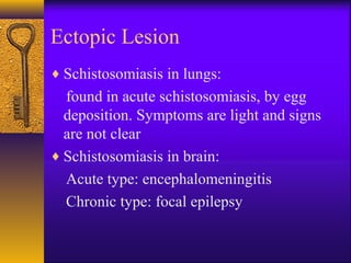Ectopic Lesion
♦ Schistosomiasis in lungs:
found in acute schistosomiasis, by egg
deposition. Symptoms are light and signs
are not clear
♦ Schistosomiasis in brain:
Acute type: encephalomeningitis
Chronic type: focal epilepsy
 
