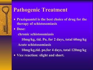 Pathogenic Treatment
♦ Praziquantel is the best choice of drug for the
therapy of schistosomiasis
♦ Dose:
chronic schistosomiasis
10mg/kg, tid. Po, for 2 days, total 60mg/kg
Acute schistosomiasis
10mg/kg,tid. po,for 4 days, total 120mg/kg
♦ Vice reaction: slight and short.
 