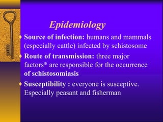 Epidemiology
♦ Source of infection: humans and mammals
(especially cattle) infected by schistosome
♦ Route of transmission: three major
factors* are responsible for the occurrence
of schistosomiasis
♦ Susceptibility : everyone is susceptive.
Especially peasant and fisherman
 