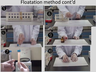 Flotation Method Pdf Neglected tropical diseases - Schistosomiasis (bilharzia) | PPTX