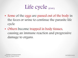 Life cycle (Cont.)
• Some of the eggs are passed out of the body in
the feces or urine to continue the parasite life
cycle
• Others become trapped in body tissues,
causing an immune reaction and progressive
damage to organs.
14/10/2018
Pediatric Schistosomiasis
Prof. Dr. Saad S Al Ani
34
 
