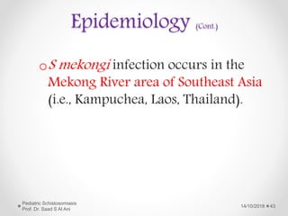 Epidemiology (Cont.)
oS mekongi infection occurs in the
Mekong River area of Southeast Asia
(i.e., Kampuchea, Laos, Thailand).
14/10/2018
Pediatric Schistosomiasis
Prof. Dr. Saad S Al Ani
43
 