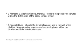 • S. mansoni, S. japonicum and S. mekongi :-Inhabits the pericolonic venules
within the distribution of the portal venous system
• S. haematobium:- inhabits the terminal venules and in the wall of the
bladder, the genitourinary system and the pelvic plexus within the
distribution of the inferior vena cava
Bruno Gryseels, Katja Polman, Jan Clerinx, Luc Kestens, Human schistosomiasis
 