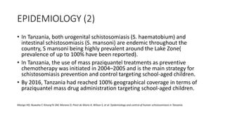 EPIDEMIOLOGY (2)
• In Tanzania, both urogenital schistosomiasis (S. haematobium) and
intestinal schistosomiasis (S. mansoni) are endemic throughout the
country, S mansoni being highly prevalent around the Lake Zone(
prevalence of up to 100% have been reported).
• In Tanzania, the use of mass praziquantel treatments as preventive
chemotherapy was initiated in 2004–2005 and is the main strategy for
schistosomiasis prevention and control targeting school-aged children.
• By 2016, Tanzania had reached 100% geographical coverage in terms of
praziquantel mass drug administration targeting school-aged children.
Mazigo HD, Nuwaha F, Kinung’hi SM, Morona D, Pinot de Moira A, Wilson S, et al. Epidemiology and control of human schistosomiasis in Tanzania.
 