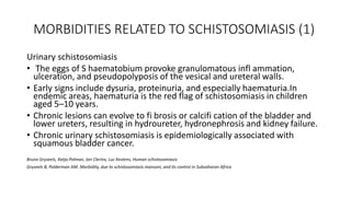 MORBIDITIES RELATED TO SCHISTOSOMIASIS (1)
Urinary schistosomiasis
• The eggs of S haematobium provoke granulomatous infl ammation,
ulceration, and pseudopolyposis of the vesical and ureteral walls.
• Early signs include dysuria, proteinuria, and especially haematuria.In
endemic areas, haematuria is the red flag of schistosomiasis in children
aged 5–10 years.
• Chronic lesions can evolve to fi brosis or calcifi cation of the bladder and
lower ureters, resulting in hydroureter, hydronephrosis and kidney failure.
• Chronic urinary schistosomiasis is epidemiologically associated with
squamous bladder cancer.
Bruno Gryseels, Katja Polman, Jan Clerinx, Luc Kestens, Human schistosomiasis
Gryseels B, Polderman AM. Morbidity, due to schistosomiasis mansoni, and its control in Subsaharan Africa
 