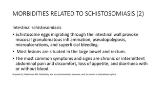 MORBIDITIES RELATED TO SCHISTOSOMIASIS (2)
Intestinal schistosomiasis
• Schistosome eggs migrating through the intestinal wall provoke
mucosal granulomatous infl ammation, pseudopolyposis,
microulcerations, and superfi cial bleeding.
• Most lesions are situated in the large bowel and rectum.
• The most common symptoms and signs are chronic or intermittent
abdominal pain and discomfort, loss of appetite, and diarrhoea with
or without blood.
Gryseels B, Polderman AM. Morbidity, due to schistosomiasis mansoni, and its control in Subsaharan Africa
 