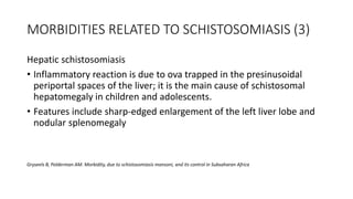 MORBIDITIES RELATED TO SCHISTOSOMIASIS (3)
Hepatic schistosomiasis
• Inflammatory reaction is due to ova trapped in the presinusoidal
periportal spaces of the liver; it is the main cause of schistosomal
hepatomegaly in children and adolescents.
• Features include sharp-edged enlargement of the left liver lobe and
nodular splenomegaly
Gryseels B, Polderman AM. Morbidity, due to schistosomiasis mansoni, and its control in Subsaharan Africa
 