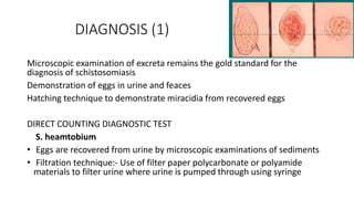 DIAGNOSIS (1)
Microscopic examination of excreta remains the gold standard for the
diagnosis of schistosomiasis
Demonstration of eggs in urine and feaces
Hatching technique to demonstrate miracidia from recovered eggs
DIRECT COUNTING DIAGNOSTIC TEST
S. heamtobium
• Eggs are recovered from urine by microscopic examinations of sediments
• Filtration technique:- Use of filter paper polycarbonate or polyamide
materials to filter urine where urine is pumped through using syringe
 