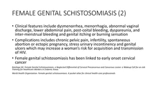 FEMALE GENITAL SCHISTOSOMIASIS (2)
• Clinical features include dysmenorrhea, menorrhagia, abnormal vaginal
discharge, lower abdominal pain, post-coital bleeding, dyspareunia, and
inter-menstrual bleeding and genital itching or burning sensation
• Complications includes chronic pelvic pain, infertility, spontaneous
abortion or ectopic pregnancy, stress urinary incontinency and genital
ulcers which may increase a woman’s risk for acquisition and transmission
of HIV.
• Female genital schistosomiasis has been linked to early onset cervical
cancer
Kaizilege GK, Female Genital Schistosomiasis, a Neglected Differential of Cervical Precancerous and Cancerous Lesion: a Wakeup Call for on-Job
Training for Healthcare Workers in Endemic Areas
World Health Organization. Female genital schistosomiasis. A pocket atlas for clinical health-care professionals
 
