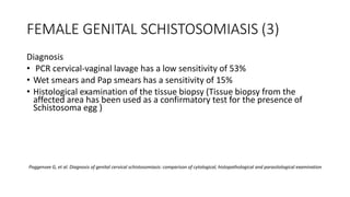 FEMALE GENITAL SCHISTOSOMIASIS (3)
Diagnosis
• PCR cervical-vaginal lavage has a low sensitivity of 53%
• Wet smears and Pap smears has a sensitivity of 15%
• Histological examination of the tissue biopsy (Tissue biopsy from the
affected area has been used as a confirmatory test for the presence of
Schistosoma egg )
Poggensee G, et al. Diagnosis of genital cervical schistosomiasis: comparison of cytological, histopathological and parasitological examination
 