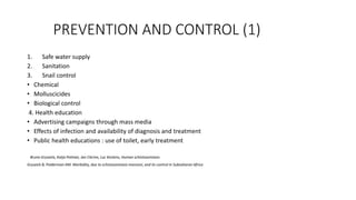 PREVENTION AND CONTROL (1)
1. Safe water supply
2. Sanitation
3. Snail control
• Chemical
• Molluscicides
• Biological control
4. Health education
• Advertising campaigns through mass media
• Effects of infection and availability of diagnosis and treatment
• Public health educations : use of toilet, early treatment
Bruno Gryseels, Katja Polman, Jan Clerinx, Luc Kestens, Human schistosomiasis
Gryseels B, Polderman AM. Morbidity, due to schistosomiasis mansoni, and its control in Subsaharan Africa
 