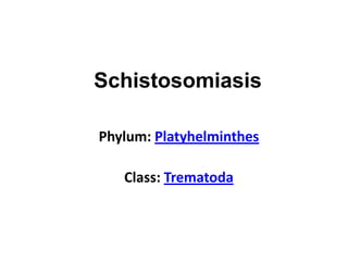 Schistosomiasis
Phylum: Platyhelminthes
Class: Trematoda
 