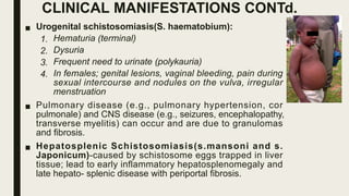 CLINICAL MANIFESTATIONS CONTd.
■ Urogenital schistosomiasis(S. haematobium):
1. Hematuria (terminal)
2. Dysuria
3. Frequent need to urinate (polykauria)
4. In females; genital lesions, vaginal bleeding, pain during
sexual intercourse and nodules on the vulva, irregular
menstruation
■ Pulmonary disease (e.g., pulmonary hypertension, cor
pulmonale) and CNS disease (e.g., seizures, encephalopathy,
transverse myelitis) can occur and are due to granulomas
and fibrosis.
■ Hepatosplenic Schistosomiasis(s.mansoni and s.
Japonicum)-caused by schistosome eggs trapped in liver
tissue; lead to early inflammatory hepatosplenomegaly and
late hepato- splenic disease with periportal fibrosis.
 