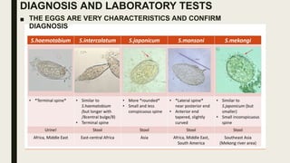 DIAGNOSIS AND LABORATORY TESTS
■ THE EGGS ARE VERY CHARACTERISTICS AND CONFIRM
DIAGNOSIS
 