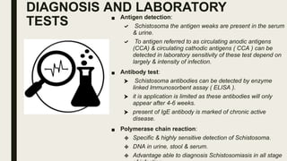 DIAGNOSIS AND LABORATORY
TESTS ■ Antigen detection:
 Schistosoma the antigen weaks are present in the serum
& urine.
 To antigen referred to as circulating anodic antigens
(CCA) & circulating cathodic antigens ( CCA ) can be
detected in laboratory sensitivity of these test depend on
largely & intensity of infection.
■ Antibody test:
 Schistosoma antibodies can be detected by enzyme
linked lmmunosorbent assay ( ELISA ).
 it is application is limited as these antibodies will only
appear after 4-6 weeks.
 present of IgE antibody is marked of chronic active
disease.
■ Polymerase chain reaction:
 Specific & highly sensitive detection of Schistosoma.
 DNA in urine, stool & serum.
 Advantage able to diagnosis Schistosomiasis in all stage
 