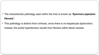  The characteristic pathology seen within the liver is known as ‘Symmers pipestem
fibrosis’.
 This pathology is distinct from cirrhosis, since there is no hepatocyte dysfunction;
instead, the portal hypertension results from fibrosis within blood vessels.
 