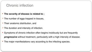 Chronic infection
 The severity of disease is related to ;
 The number of eggs trapped in tissues,
 Their anatomic distribution, and
 The duration and intensity of infection.
 Symptoms of chronic infection often begins insidiously but are frequently
progressive without treatment, particularly with a high intensity of disease.
 The major manifestations vary according to the infecting species.
 