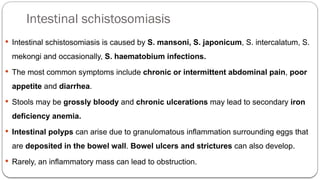 Intestinal schistosomiasis
 Intestinal schistosomiasis is caused by S. mansoni, S. japonicum, S. intercalatum, S.
mekongi and occasionally, S. haematobium infections.
 The most common symptoms include chronic or intermittent abdominal pain, poor
appetite and diarrhea.
 Stools may be grossly bloody and chronic ulcerations may lead to secondary iron
deficiency anemia.
 Intestinal polyps can arise due to granulomatous inflammation surrounding eggs that
are deposited in the bowel wall. Bowel ulcers and strictures can also develop.
 Rarely, an inflammatory mass can lead to obstruction.
 