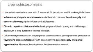 Liver schistosomiasis
 Liver schistosomiasis occurs with S. mansoni, S. japonicum and S. mekongi infections.
 Inflammatory hepatic schistosomiasis is the main cause of hepatomegaly and
severe splenomegaly in children and adolescents.
 Chronic hepatic schistosomiasis develops years later in young and middle aged
adults with a long duration of intense infection.
 Diffuse collagen deposits in the periportal spaces leads to pathognomonic periportal or
"Symmer's pipestem fibrosis" with accompanying splenomegaly and portal
hypertension. However, hepatocellular function remains normal.
 