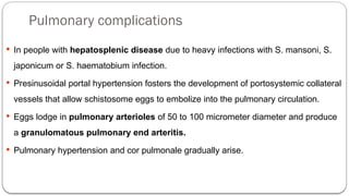 Pulmonary complications
 In people with hepatosplenic disease due to heavy infections with S. mansoni, S.
japonicum or S. haematobium infection.
 Presinusoidal portal hypertension fosters the development of portosystemic collateral
vessels that allow schistosome eggs to embolize into the pulmonary circulation.
 Eggs lodge in pulmonary arterioles of 50 to 100 micrometer diameter and produce
a granulomatous pulmonary end arteritis.
 Pulmonary hypertension and cor pulmonale gradually arise.
 