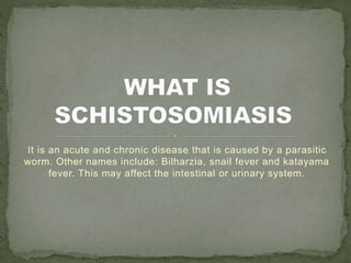 It is an acute and chronic disease that is caused by a parasitic
worm. Other names include: Bilharzia, snail fever and katayama
fever. This may affect the intestinal or urinary system.
 