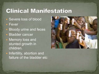  Severe loss of blood
 Fever
 Bloody urine and feces
 Bladder cancer
 Memory loss and
stunted growth in
children.
 Infertility, abortion and
failure of the bladder etc
 