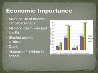  Major cause of bladder
cancer in Nigeria.
 Memory loss in kids and
low IQ.
 Stunted growth in
children
 Death
 Absence of children in
school.
 
