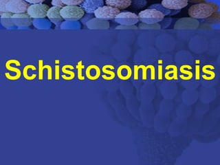 Schistosomiasis
 