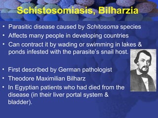 Schistosomiasis, Bilharzia
• Parasitic disease caused by Schitosoma species
• Affects many people in developing countries
• Can contract it by wading or swimming in lakes &
ponds infested with the parasite’s snail host.
• First described by German pathologist
• Theodore Maximilian Bilharz
• In Egyptian patients who had died from the
disease (in their liver portal system &
bladder).
 