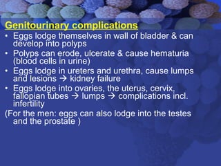 Genitourinary complications
• Eggs lodge themselves in wall of bladder & can
develop into polyps
• Polyps can erode, ulcerate & cause hematuria
(blood cells in urine)
• Eggs lodge in ureters and urethra, cause lumps
and lesions  kidney failure
• Eggs lodge into ovaries, the uterus, cervix,
fallopian tubes  lumps  complications incl.
infertility
(For the men: eggs can also lodge into the testes
and the prostate )
 