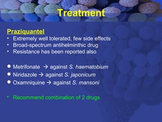Treatment
Praziquantel
• Extremely well tolerated, few side effects
• Broad-spectrum antihelminthic drug
• Resistance has been reported also
Metrifonate  against S. haematobium
Niridazole  against S. japonicum
Oxamniquine  against S. mansoni
• Recommend combination of 2 drugs
 