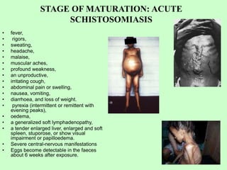 STAGE OF MATURATION: ACUTE
SCHISTOSOMIASIS
• fever,
• rigors,
• sweating,
• headache,
• malaise,
• muscular aches,
• profound weakness,
• an unproductive,
• irritating cough,
• abdominal pain or swelling,
• nausea, vomiting,
• diarrhoea, and loss of weight.
• pyrexia (intermittent or remittent with
evening peaks),
• oedema,
• a generalized soft lymphadenopathy,
• a tender enlarged liver, enlarged and soft
spleen, stuporose, or show visual
impairment or papilloedema.
• Severe central-nervous manifestations
• Eggs become detectable in the faeces
about 6 weeks after exposure.
 