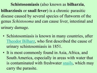 Schistosomiasis (also known as bilharzia,
bilharziosis or snail fever) is a chronic parasitic
disease caused by several species of flatworm of the
genus Schistosoma and can cause liver, intestinal and
urinary damage.
• Schistosomiasis is known in many countries, after
Theodor Bilharz, who first described the cause of
urinary schistosomiasis in 1851.
• It is most commonly found in Asia, Africa, and
South America, especially in areas with water that
is contaminated with freshwater snails, which may
carry the parasite.
 