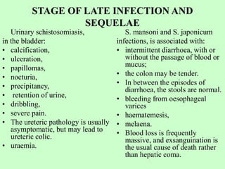 STAGE OF LATE INFECTION AND
SEQUELAE
Urinary schistosomiasis,
in the bladder:
• calcification,
• ulceration,
• papillomas,
• nocturia,
• precipitancy,
• retention of urine,
• dribbling,
• severe pain.
• The ureteric pathology is usually
asymptomatic, but may lead to
ureteric colic.
• uraemia.
S. mansoni and S. japonicum
infections, is associated with:
• intermittent diarrhoea, with or
without the passage of blood or
mucus;
• the colon may be tender.
• In between the episodes of
diarrhoea, the stools are normal.
• bleeding from oesophageal
varices
• haematemesis,
• melaena.
• Blood loss is frequently
massive, and exsanguination is
the usual cause of death rather
than hepatic coma.
 