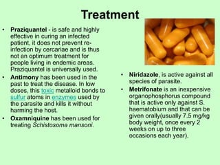 Treatment
• Praziquantel - is safe and highly
effective in curing an infected
patient, it does not prevent re-
infection by cercariae and is thus
not an optimum treatment for
people living in endemic areas.
Praziquantel is universally used.
• Antimony has been used in the
past to treat the disease. In low
doses, this toxic metalloid bonds to
sulfur atoms in enzymes used by
the parasite and kills it without
harming the host.
• Oxamniquine has been used for
treating Schistosoma mansoni.
• Niridazole, is active against all
species of parasite.
• Metrifonate is an inexpensive
organophosphorus compound
that is active only against S.
haematobium and that can be
given orally(usually 7.5 mg/kg
body weight, once every 2
weeks on up to three
occasions each year).
 