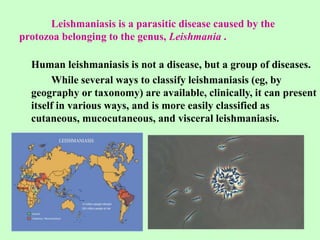 Leishmaniasis is a parasitic disease caused by the
protozoa belonging to the genus, Leishmania .
Human leishmaniasis is not a disease, but a group of diseases.
While several ways to classify leishmaniasis (eg, by
geography or taxonomy) are available, clinically, it can present
itself in various ways, and is more easily classified as
cutaneous, mucocutaneous, and visceral leishmaniasis.
 