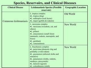 Species, Reservoirs, and Clinical Diseases
Clinical Disease Leishmaniasis Species (Possible
reservoir)
Geographic Location
Cutaneous leishmaniasis
L. tropica complex
L. tropica (dog)
L. aethiopica (rock hyrax)
L. major (gerbils & rodents)
Old World
L. mexicana complex
L. mexicana (woodrats, cat, and
others)
L. pifanoi
L. amazonensis (small forest
mammals, rodents, marsupials, and
foxes)
L. garnhami
L. venezuelensis
New World
L. braziliensis complex
L. peruviana (domestic dog and
probably a wild rodent)
L. guyanensis (arboreal sloths and
anteaters)
L. panamensis (sloths, rodents,
monkeys, procyonids)
L. lainsoni (agouti)
L. colombiensis (sloth)
New World
 