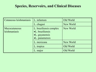 Cutaneous leishmaniasis L. infantum Old World
L. chagasi New World
Mucocutaneous
leishmaniasis
L. braziliensis complex
L. braziliensis
L. guyanensis
L. panamensis
New World
L. mexicana New World
L. tropica Old World
L. major Old World
Species, Reservoirs, and Clinical Diseases
 
