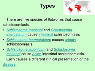 Types
There are five species of flatworms that cause
schistosomiasis.
• Schistosoma mansoni and Schistosoma
intercalatum cause intestinal schistosomiasis
• Schistosoma haematobium causes urinary
schistosomiasis
• Schistosoma japonicum and Schistosoma
mekongi cause Asian intestinal schistosomiasis.
Each causes a different clinical presentation of the
disease.
 