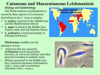 Cutaneous and Mucocutaneous Leishmaniasis
Etiology and Epidemiology
Old World cutaneous leishmaniasis is
caused by three species of Leishmania
that belong to the L. tropica complex:
 L. tropica is present in the Middle East
and the Mediterranean littoral;
 L. major is found in the Middle East,
Arabia, India, and sub-Saharan Africa;
 L. aethiopica is found principally in
Ethiopia and Kenya.
Phlebotomus sandflies are the
principal vectors.
• Infections that are caused by
Leishmania can be acquired by
travelers, as well as by military and other
personnel residing in endemic areas.
• Military personnel in the Middle East
have acquired cutaneous leishmaniasis
with L. major and viscerotropic
infections with L. tropica.
 