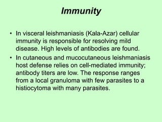 Immunity
• In visceral leishmaniasis (Kala-Azar) cellular
immunity is responsible for resolving mild
disease. High levels of antibodies are found.
• In cutaneous and mucocutaneous leishmaniasis
host defense relies on cell-mediated immunity;
antibody titers are low. The response ranges
from a local granuloma with few parasites to a
histiocytoma with many parasites.
 